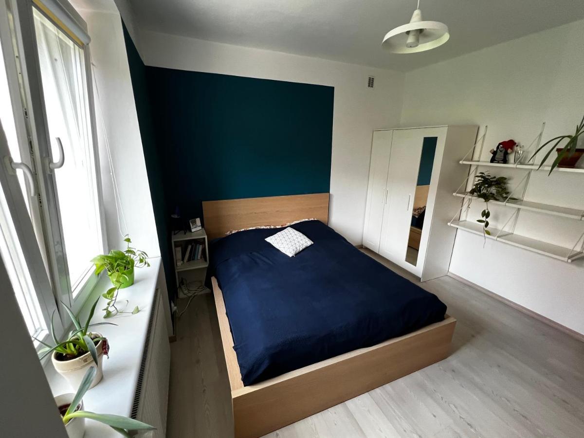 Przyjazne Mieszkanie W Centrum Gdanska Apartment Luaran gambar